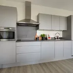 Rent 3 bedroom apartment of 110 m² in Amsterdam