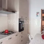 Rent 4 bedroom apartment of 100 m² in Isernia