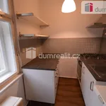 Rent 1 bedroom house in Praha 3