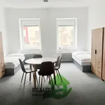 Rent 1 bedroom apartment in České Budějovice