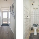 Rent 4 bedroom apartment of 89 m² in Boerhaavekwartier