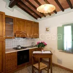 Rent 1 bedroom apartment of 130 m² in Capannoli