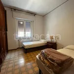 Rent 3 bedroom apartment of 80 m² in Cremona