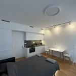 Studio of 27 m² in Prague