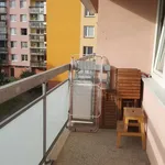 Pronajměte si 1 ložnic/e byt o rozloze 30 m² v Brno