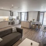 Rent 1 bedroom apartment in Colchester