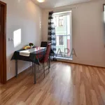 Rent 1 bedroom apartment of 38 m² in České Budějovice