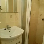 Rent 1 bedroom apartment in Ostrava