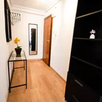 Alquilar 3 dormitorio apartamento en Valencia