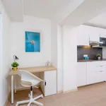 Studio o rozloze 18 m² v prague