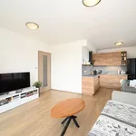 Rent 2 bedroom apartment of 53 m² in Prague