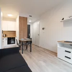 Studio of 20 m² in Prague