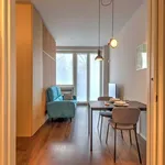 Rent 1 bedroom apartment of 30 m² in Milan