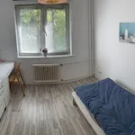 Miete 3 Schlafzimmer wohnung von 61 m² in Berlin