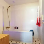 Alugar 1 quarto apartamento em porto