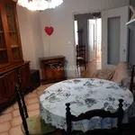 Rent 3 bedroom apartment of 80 m² in Turin