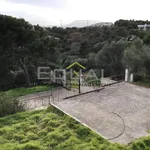 Rent 3 bedroom house of 240 m² in Rafina municipal unit