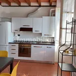 Rent 2 bedroom apartment of 55 m² in Parma