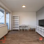 Rent 2 bedroom apartment of 37 m² in Pilsen