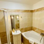 Rent 1 bedroom apartment of 37 m² in Prague