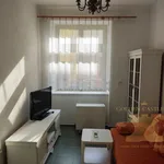 Rent 1 bedroom apartment of 36 m² in Sedlec-Prčice