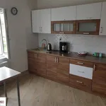 Rent 1 bedroom apartment of 29 m² in Gliwice