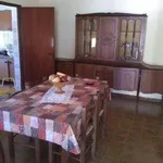 Rent 3 bedroom apartment of 100 m² in Castelvetrano