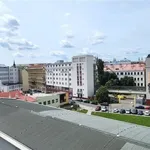 Rent 2 bedroom apartment of 65 m² in Brno