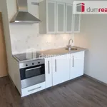 Pronajměte si 1 ložnic/e byt o rozloze 36 m² v Prague