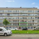 Huur 1 slaapkamer appartement in Antwerpen