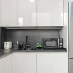 Rent 1 bedroom apartment in madrid