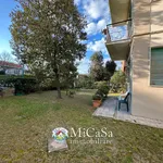 Rent 3 bedroom apartment of 45 m² in Pisa