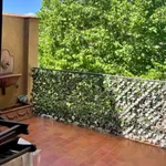 Rent 2 bedroom apartment in florence