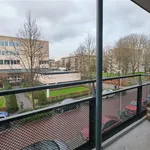 Rent 2 bedroom apartment of 110 m² in Utrecht