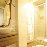 Rent 1 bedroom apartment of 50 m² in Torino