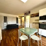 Rent 1 bedroom apartment of 46 m² in Cernusco sul Naviglio