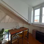 Rent 1 bedroom apartment of 40 m² in lisbon