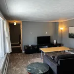 Rent 1 bedroom apartment in Belmar District