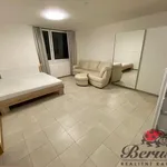 Rent 1 bedroom apartment of 33 m² in Prague