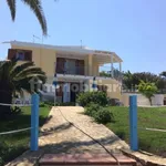 Rent 3 bedroom house of 92 m² in Olbia