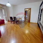 Rent 3 bedroom apartment of 100 m² in Perugia