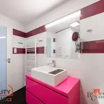 Rent 1 bedroom apartment of 43 m² in Pilsen