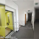 Rent 2 bedroom apartment of 50 m² in České Budějovice