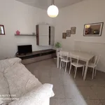 Rent 3 bedroom apartment of 55 m² in Camaiore