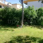 Rent 2 bedroom apartment of 50 m² in Montesilvano