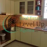 Real Estate Level Up Agents