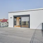 Rent 5 bedroom apartment of 183 m² in Leipzig