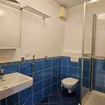 Rent 5 bedroom apartment in Prague