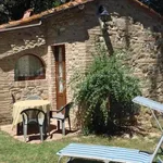 Rent 1 bedroom apartment of 70 m² in Castelnuovo Berardenga