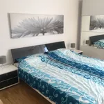 Miete 3 Schlafzimmer wohnung von 97 m² in Dresden